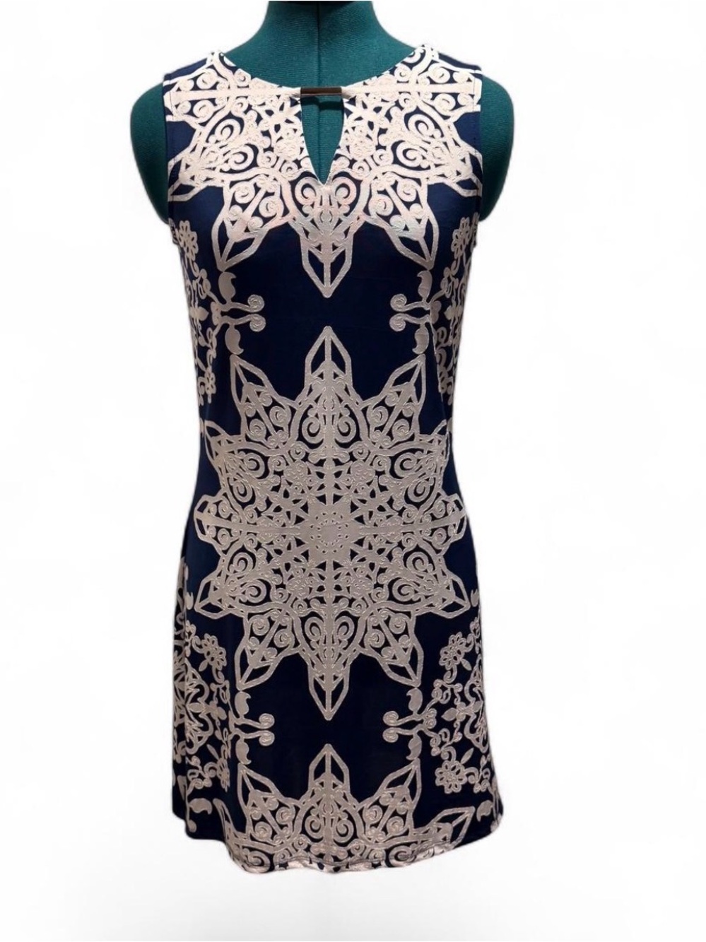 Haani Navy Blue Mini Dress with Cream Lace Overlay